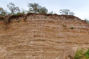 Dik deniz kıyıları, kil aşırı büyümüş yamaçlar çökmüş kayalarda farklı topraklar.