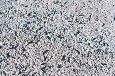 küçük demir çivi inşaat metal çivi yolda dağılmış yolda,