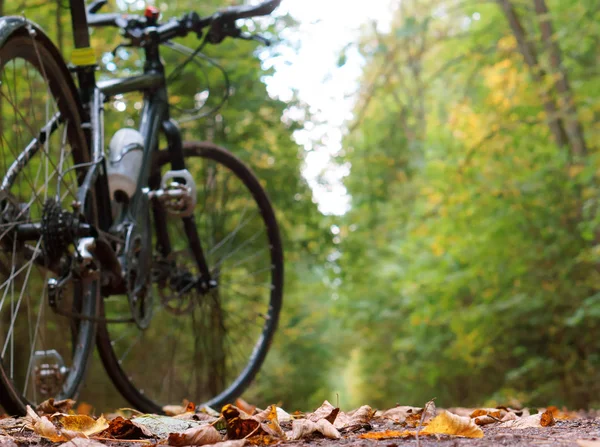 Fiets Bos Trail Zwarte Fiets Bos Herfst — Stockfoto