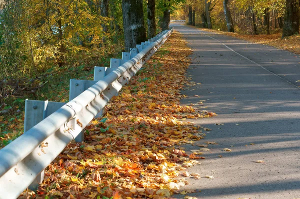 road bump, road in the forest in autumn, road fence and autumn forest