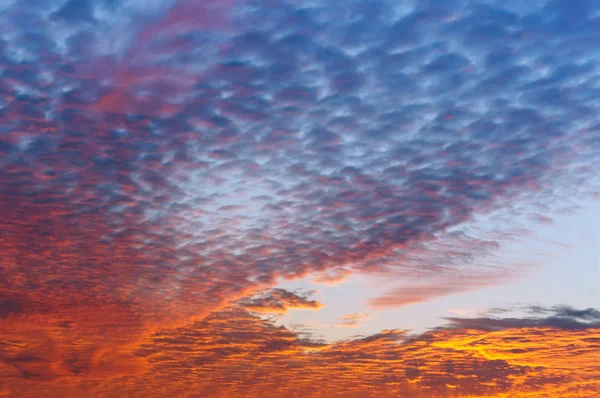 Ανατολή Του Ηλίου Ουρανός Είναι Μοβ Και Ροζ Λόγω Ηλιοβασίλεμα — Φωτογραφία Αρχείου