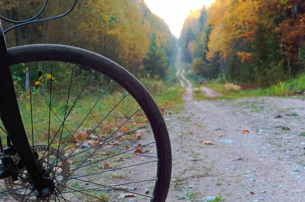 bike on forest trail, black bike in forest in autumn