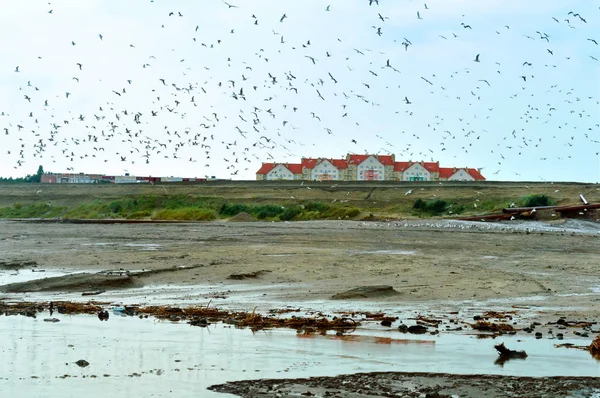 pollution of the sea coast, houses by the sea