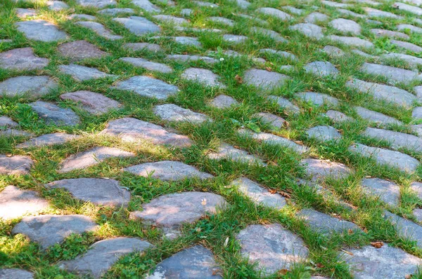 cobblestone road, grass between cobblestones on the road