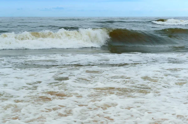 sea wave rolls on the sand, sandy coast of the Baltic sea