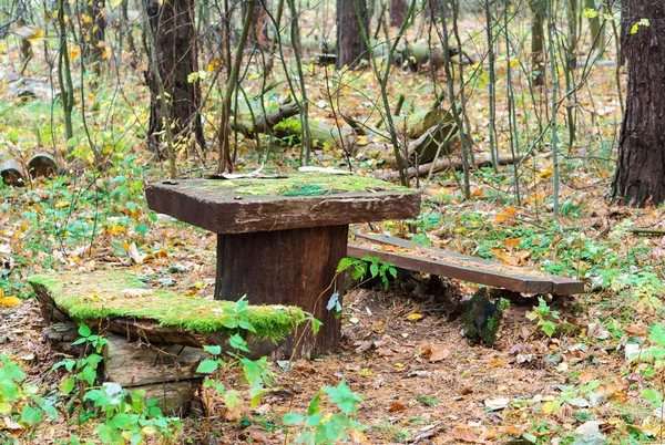 place in the forest to relax, table and bench in the forest, wooden bench covered with moss