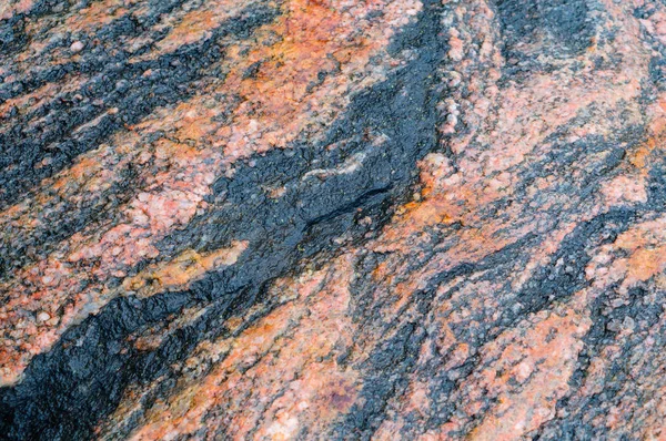 the texture of the stone, the background of sea stone