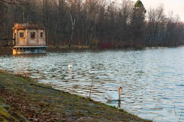 old observation deck on the pond, observation gazebo on the lake