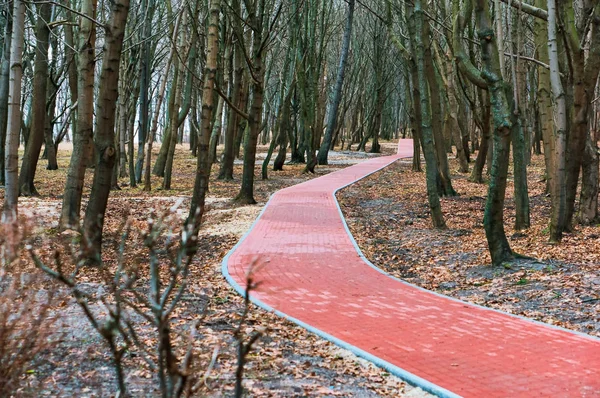 red tile path in the Park, walking path in the spring Park