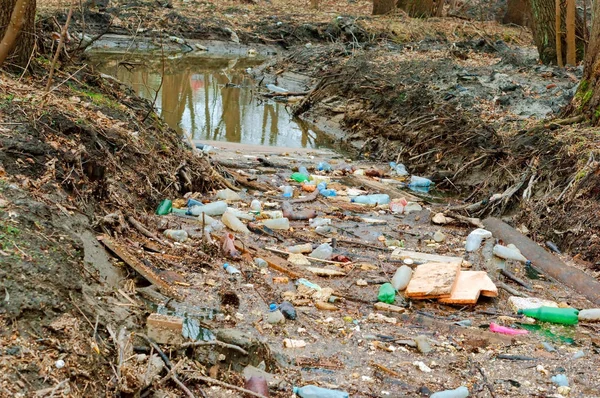 garbage in the forest on the river, pollution of reservoirs