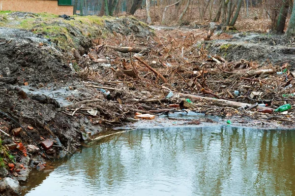 garbage in the forest on the river, pollution of reservoirs