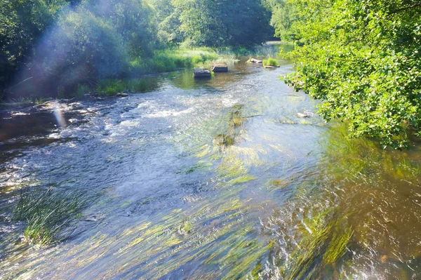 shallow clean river in summer, shallow roaring river