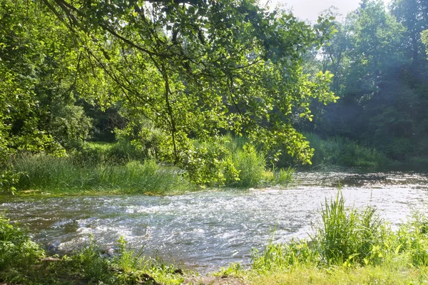 shallow clean river in summer, shallow roaring river