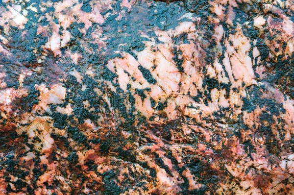 sea stone background, the texture of the stone