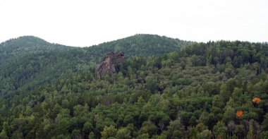 Ulusal park Krasnoyarsk sütunları. Tayga ve kaya küçük altın kartal veya glogol.