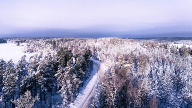 Yuvarlak yolu olan karla kaplı bir ormanın havadan görünüşü.