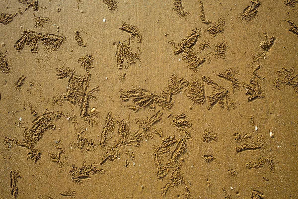Відбитки Крабів Трек Дірка Краба Піщаному Пляжі Абстрактний Природний Фон — стокове фото