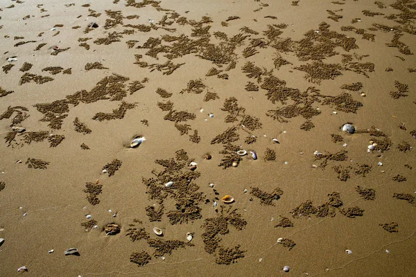 Krab Voetafdrukken Track Gat Van Krab Aan Zandstrand Abstracte Natuurlijke — Stockfoto