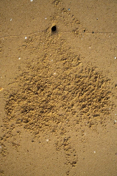 След Крабовых Следов Отверстие Краба Песчаном Пляже Абстрактный Природный Фон — стоковое фото