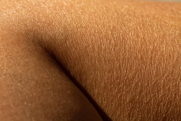 Сухая кожа женщины на голени, крупным планом и макро-снимок, часть азиатской кожи тела, концепция здравоохранения, абстрактный фон — стоковое фото