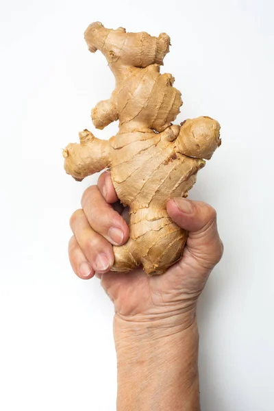 Die Rechte Hand Der Seniorin Mit Frischer Ingwerwurzel Oder Rhizom Stockbild