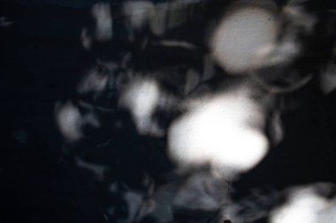 Soyut bokeh bulanık yaprak arkaplanı, Işık & Gölge, Beyaz ve Siyah monokrom tonu