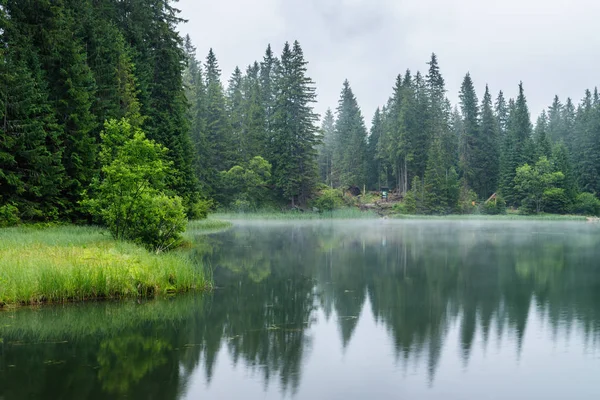 Reflection Trees Water Surface Forest Lake Called Vrbicke Pleso Demanovska — Stock Photo, Image