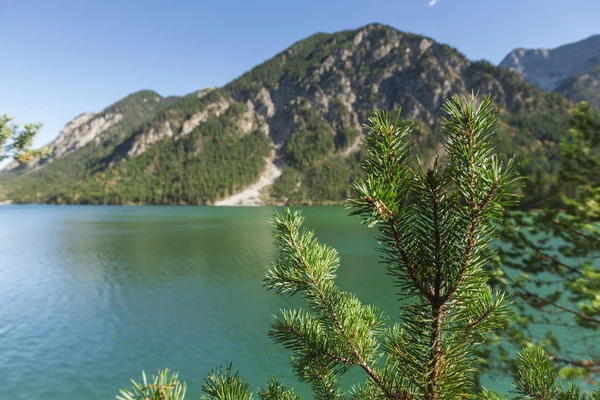 Vista Paisagem Lago Áustria Partir Costa Sul Verão 2017 Concentre — Fotografia de Stock