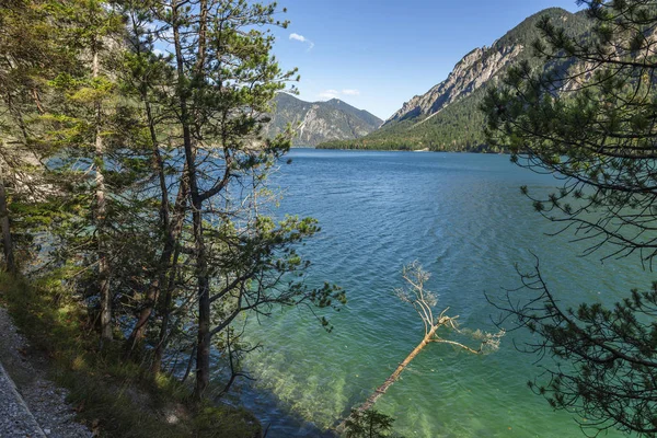 Vista Paisagem Lago Plansee Áustria Partir Costa Sul Tempo Ensolarado — Fotografia de Stock