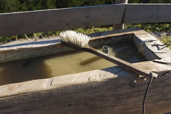 Wassertrog Aus Einem Baumstamm Mit Darauf Liegender Waschbürste Zur Reinigung — Stockfoto