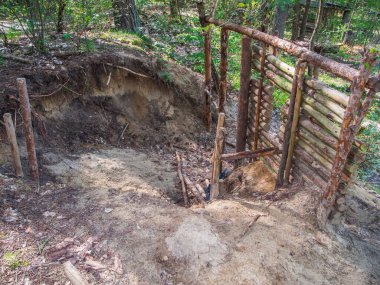 Kumlu orman zemininde ahşap bir barakanın ham görüntüsü yüksek açılı..