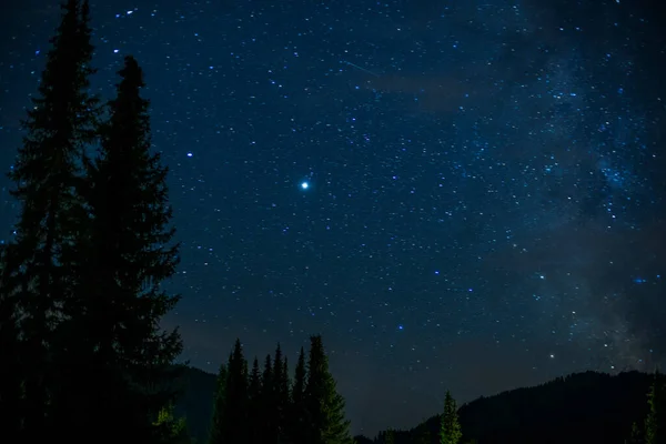 2020年7月20日のバイエルン ドイツ上空の星空は 4で50Mmレンズで撮影されました 手前のモミの木 ロイヤリティフリーのストック写真