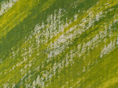 El boyama çekilmiş. Soyut sanat arka plan. Tuval üzerine resim. Renk doku. Sanat parçası. Boya darbeleri. Modern sanat. Çağdaş sanat. Renkli tuval. Yakın çekim.