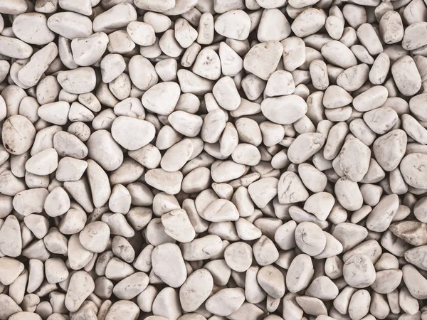 Decorative stones , round stones on white background , Stones or Gravel for building, floor or wall. Seamless Texture. Pebbles.