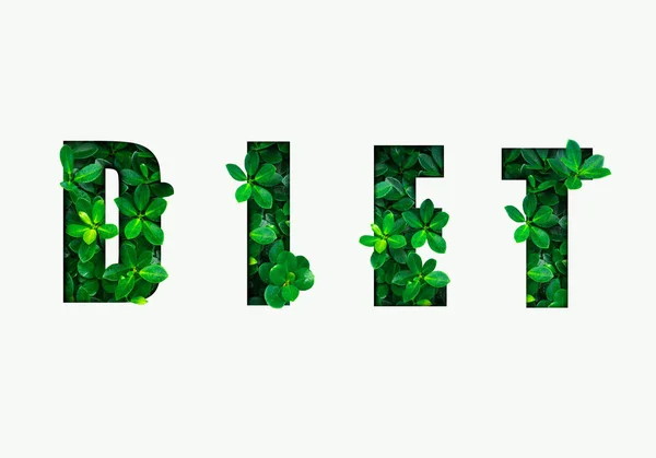Word DIET is made from green leaves. Concept of diet, cleansing the body, healthy eating, ditital detox