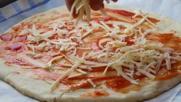 Cocinar Pizza Las Manos Chica Espolvorean Pizza Queso Primer Plano — Vídeo de stock