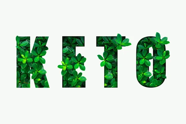 Word Keto Zöld Levelek — Stock Fotó
