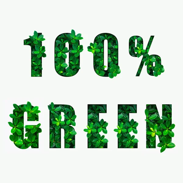 Palavra 100 Verde Folhas Verdes — Fotografia de Stock