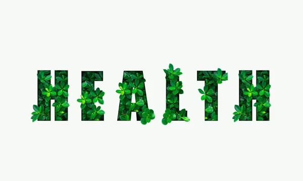 Palabra Salud Las Hojas Verdes —  Fotos de Stock