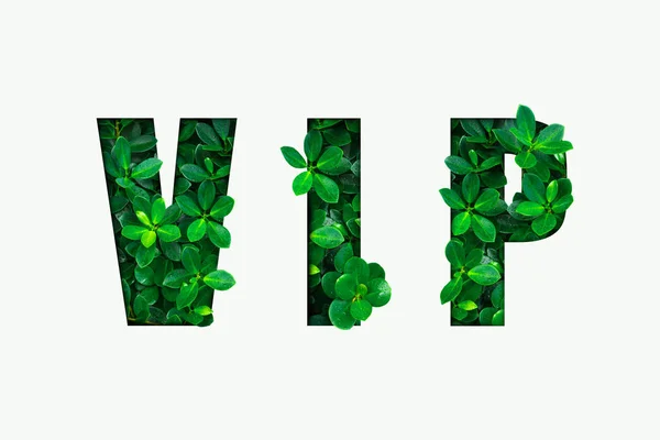 Word Vip Green Leaves — Stock Photo, Image