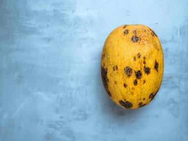 Açık mavi backround trendy çirkin organik kavun. Sıfır atık kavramı.