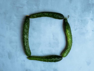 Açık mavi backround trendy çirkin organik salatalık. Sıfır atık kavramı.