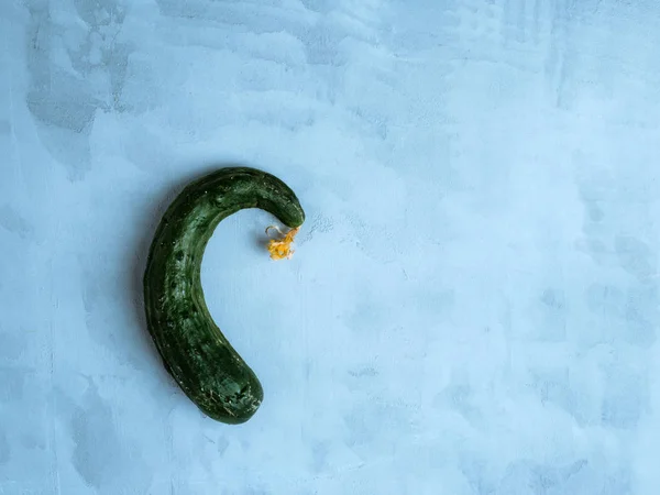 Trendy ugly organic cucumber on light blue backround. Zero waste concept. — Stock Photo, Image