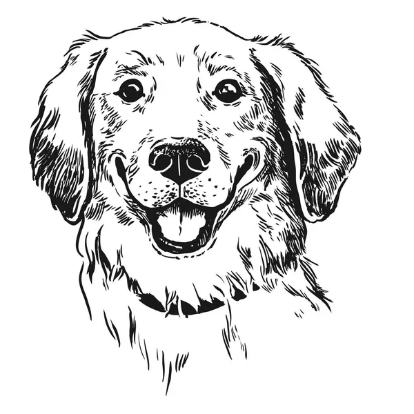 Golden Retriever Hund Lächelnd Mit Herausgestreckter Zunge Feder Und Tusche — Stockvektor