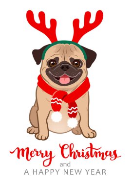 Noel pug köpek çizgi film illüstrasyon. Pug köpek yavrusu, dışarı, kırmızı eşarp ve boynuzları giyiyor dil ile gülümseyerek oturan sevimli dost şişman tombul açık kahverengi. Evcil hayvan, köpek severler, hayvan temalı Noel tebrik kartı