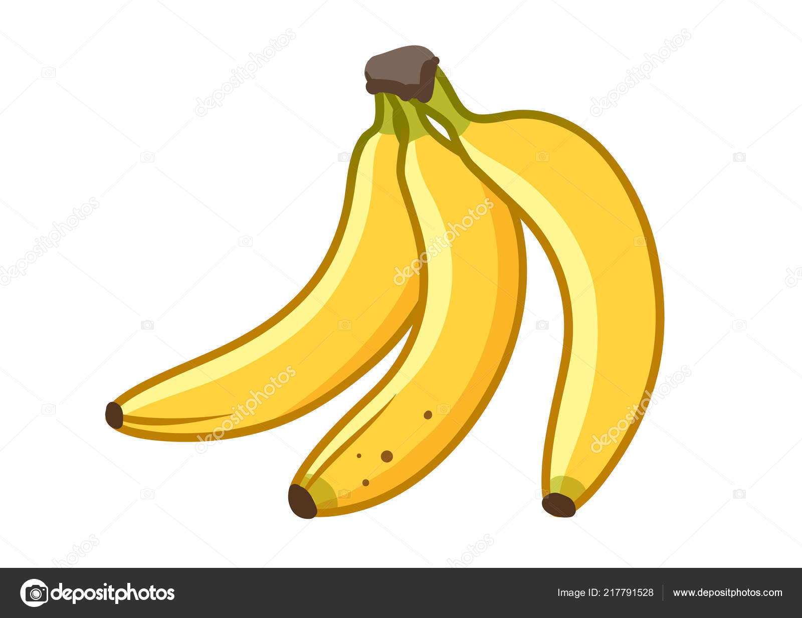 régime de bananes en gros plan isolé sur fond blanc, dessin