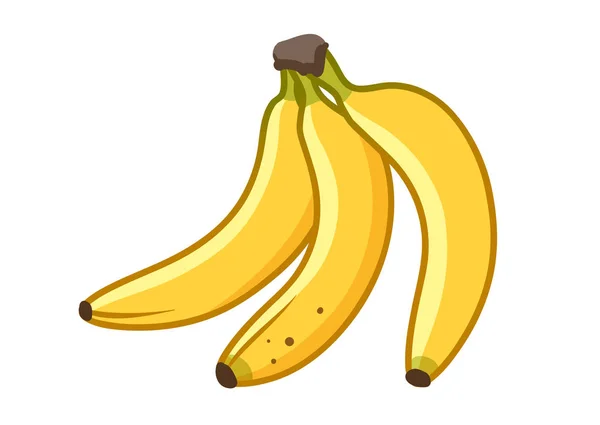 Banaan Fruit Cartoon Vectorillustratie Bos Van Rijpe Bananen Gezonde Voeding — Stockvector