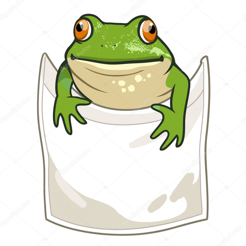 Frog looking out of t-shirt pocket funny humorous vector cartoon illustration. Nature, outdoors, wildlife, amphibian themed design element for clothes.