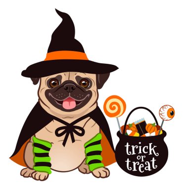 Cadılar Bayramı pug köpek vektör karikatür çizim. Sevimli tombul oturma cadı kostüm siyah şapka ve cape, kazan hile ile köpek pug veya şekerle dolu kova tedavi. Evcil hayvan tema için komik Cadılar Bayramı.