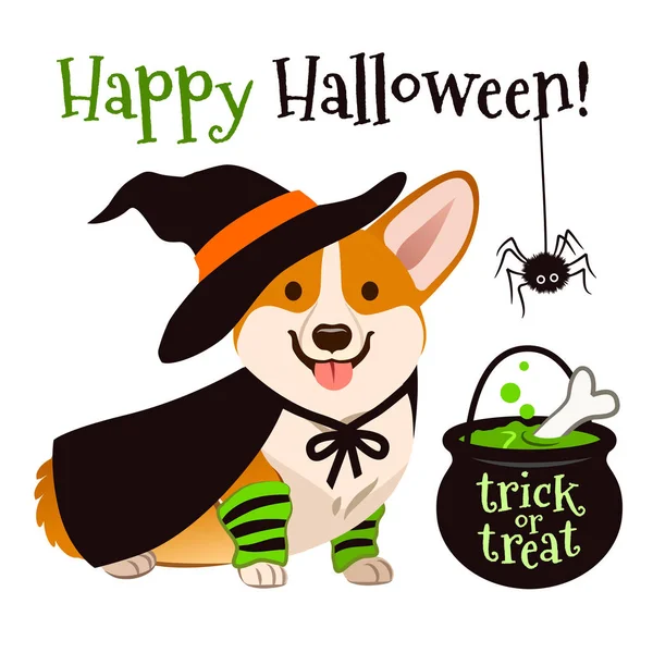 Halloween Perro Corgi Cachorro Con Traje Bruja Con Sombrero Negro — Vector de stock